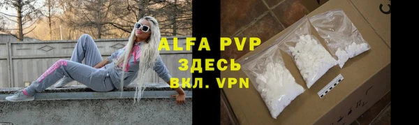 прущий лед Абаза