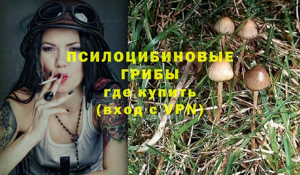 молекула духа Алексеевка
