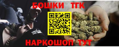 индика Обнинск