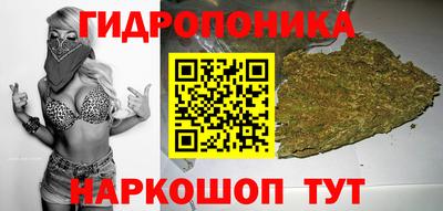 гидропоника Нягань
