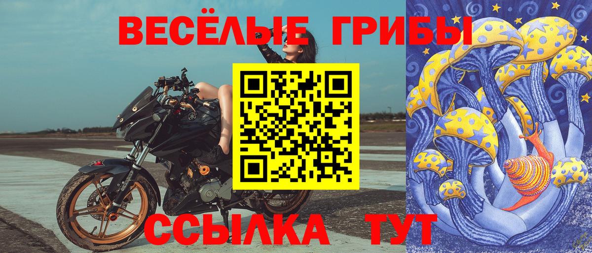 Галлюциногенные грибы прущие грибы  где можно купить наркотик  Вход с VPN  Хасавюрт  Псилоцибиновые грибы Cubensis 