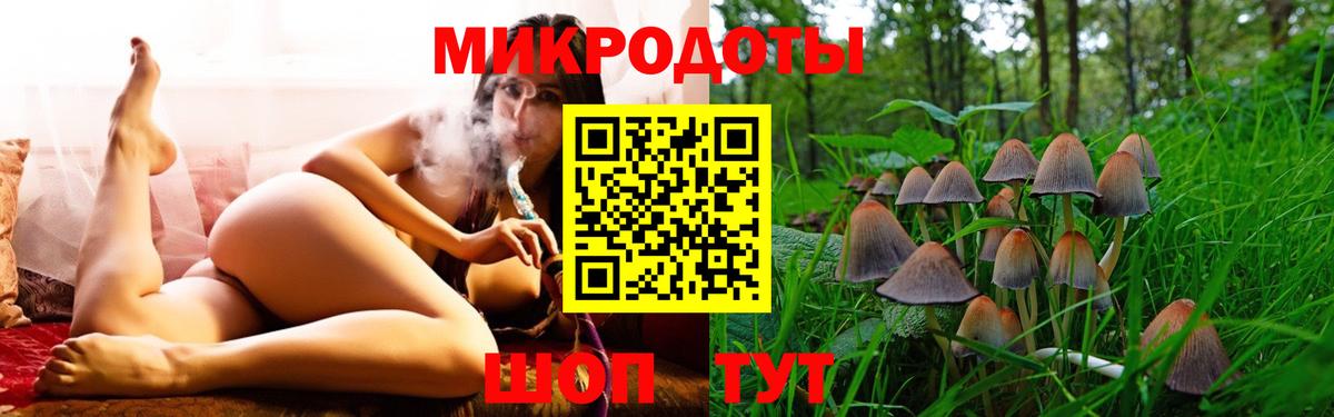 Псилоцибиновые грибы GOLDEN TEACHER Хасавюрт