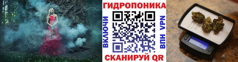 shop телеграм  Хасавюрт  Конопля ГИДРОПОН  как найти закладки 